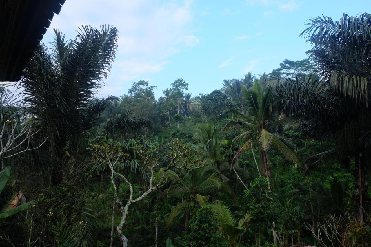 Willa Gunung Kawi House Tegallalang  Zewnętrze zdjęcie