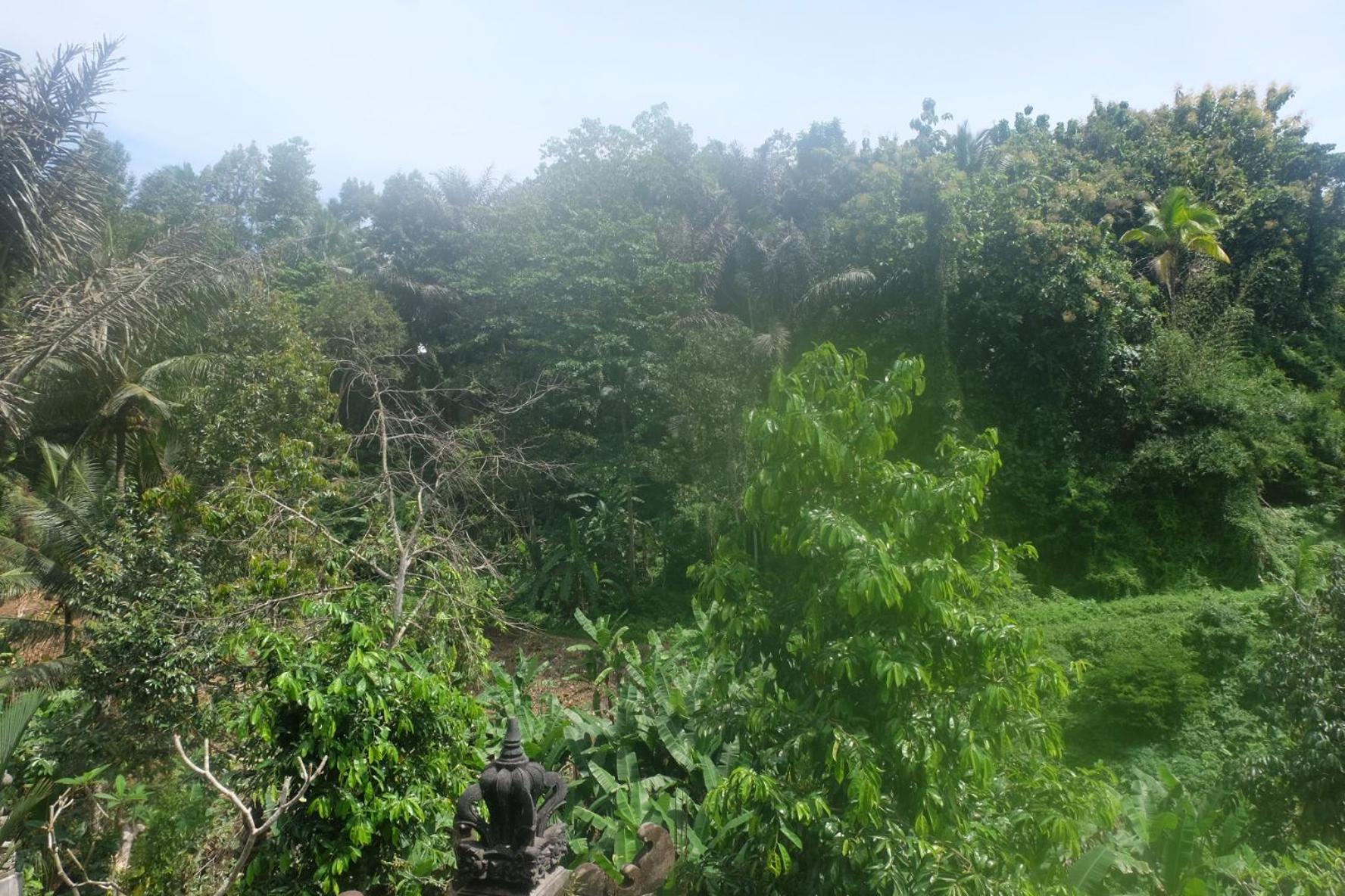 Willa Gunung Kawi House Tegallalang  Zewnętrze zdjęcie