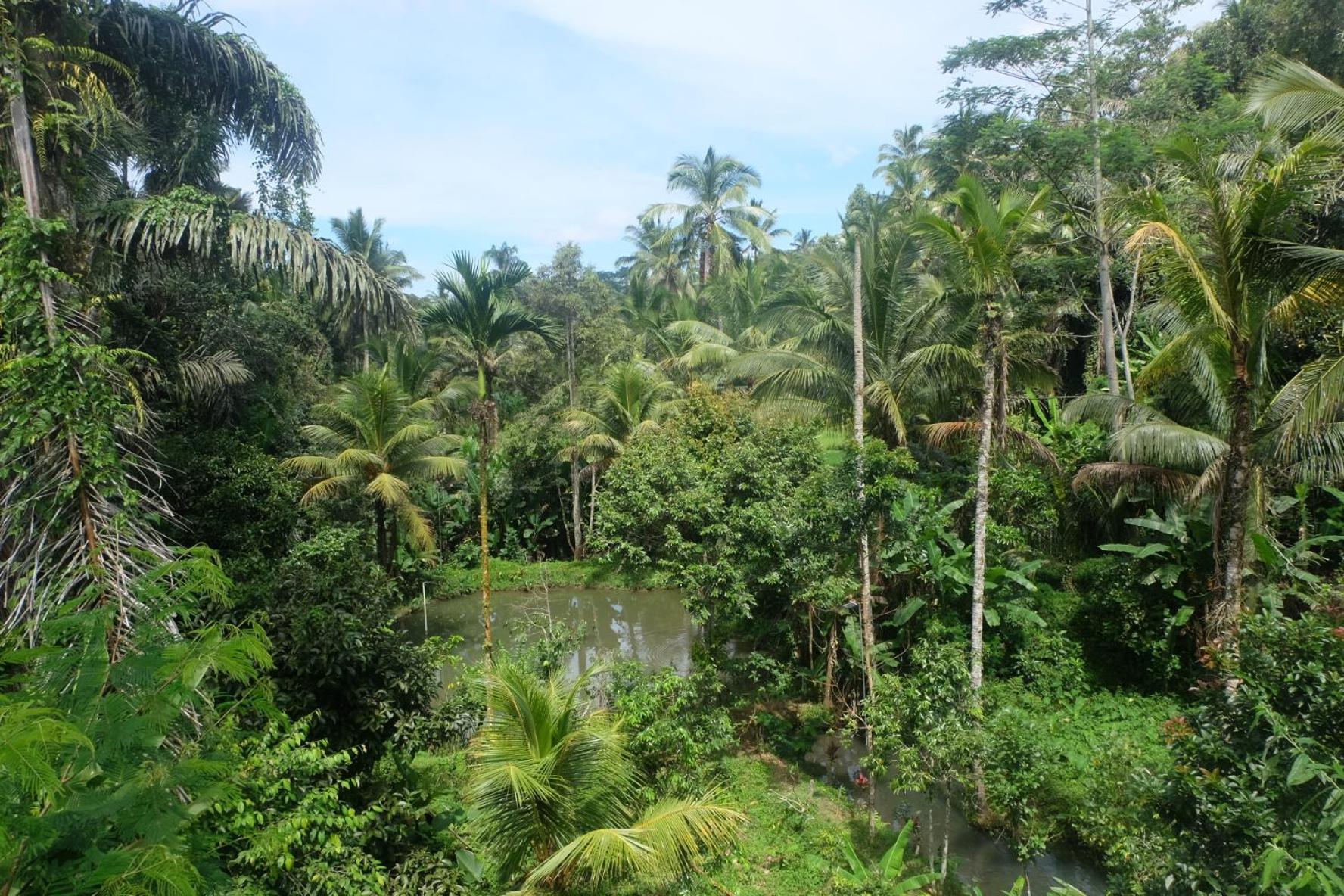 Willa Gunung Kawi House Tegallalang  Zewnętrze zdjęcie