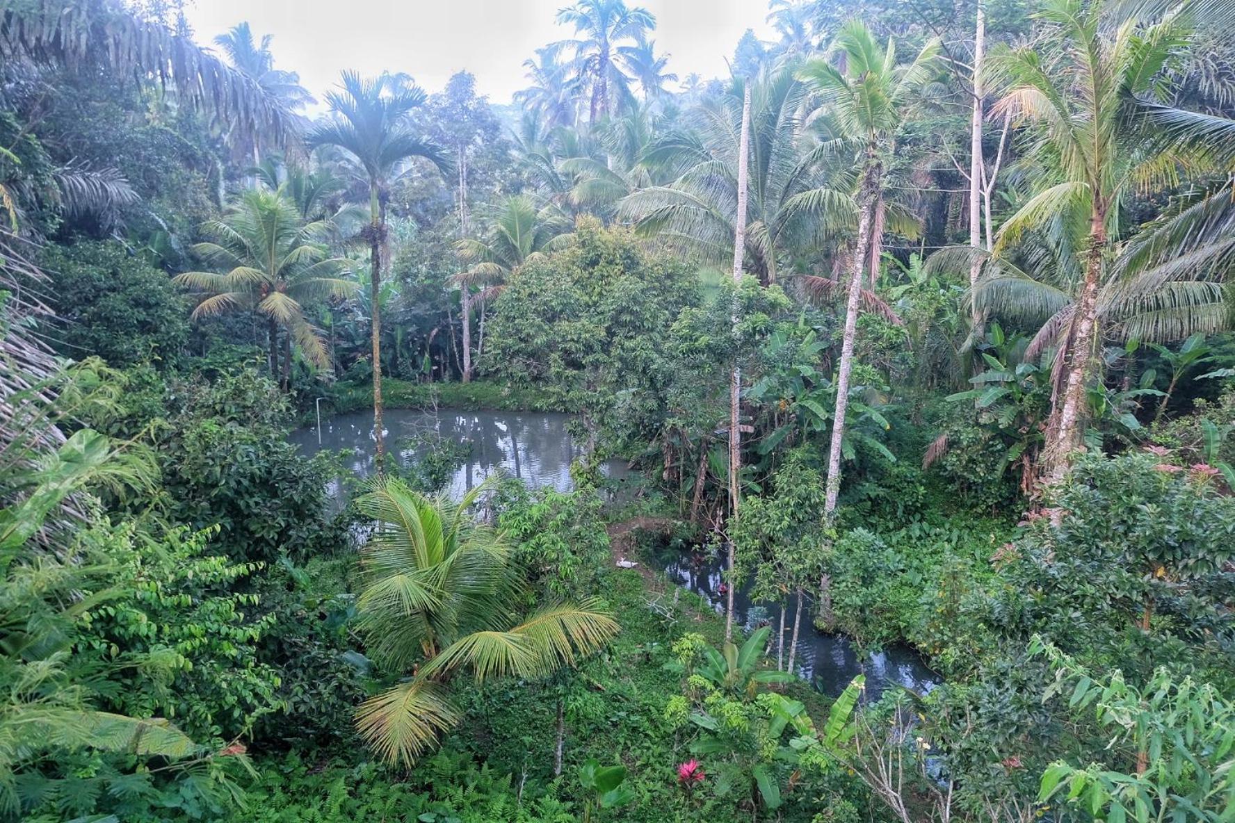 Willa Gunung Kawi House Tegallalang  Zewnętrze zdjęcie